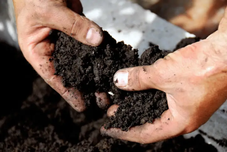 How Long Does Mulch Last in Temecula, CA