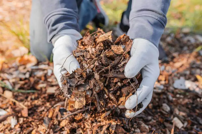 What Does Mulch Do in Temecula, CA