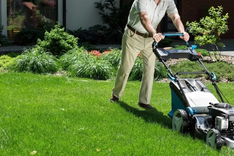 Can You Mow Wet Grass in Temecula, CA