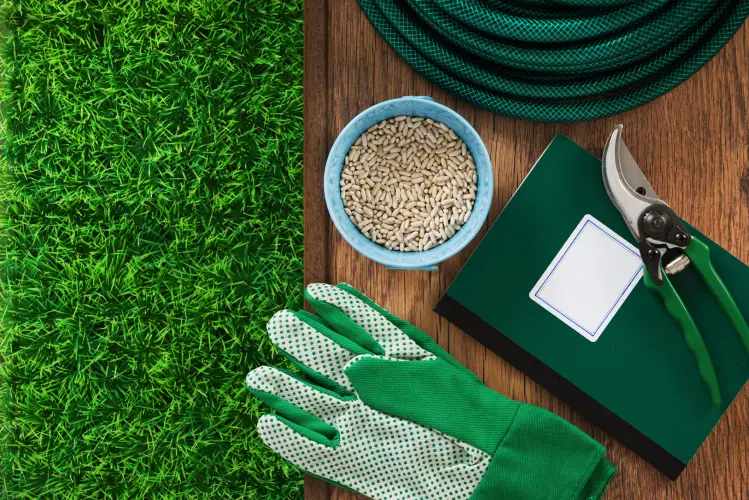 Lawn Fertilization in Temecula, CA - Landscaper