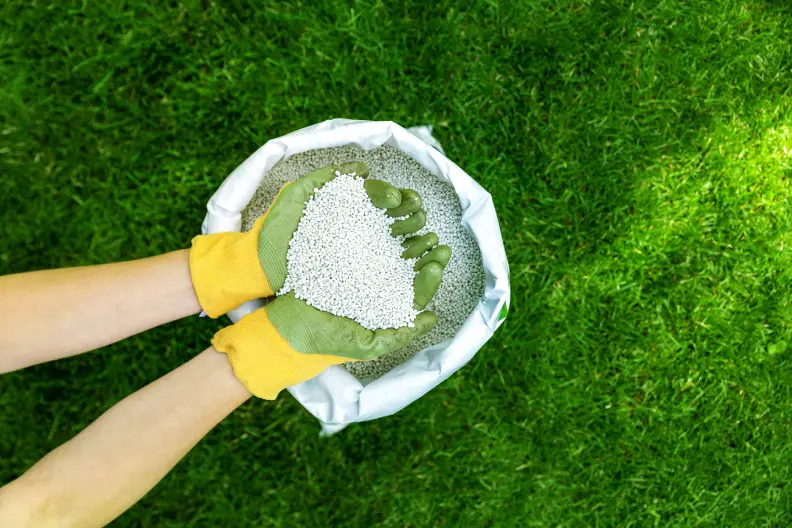 Lawn Fertilization in Temecula, CA