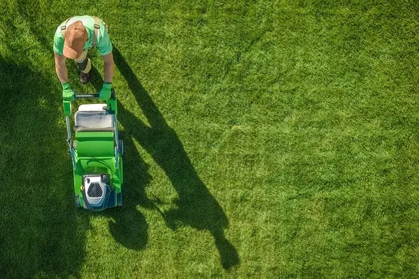 Lawn Mowing and Edging