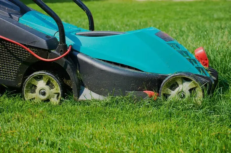 Lawn Mowing in Temecula, CA