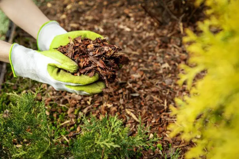 Mulching in Temecula, CA