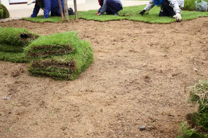 Sod Installation in Temecula, CA - Landscaper