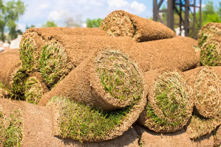 Sod Installation in Temecula, CA