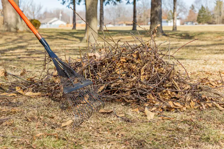 Yard Cleanup Temecula, CA