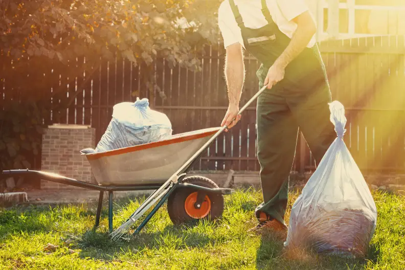 Yard Cleanup in Temecula, CA - Landscaper