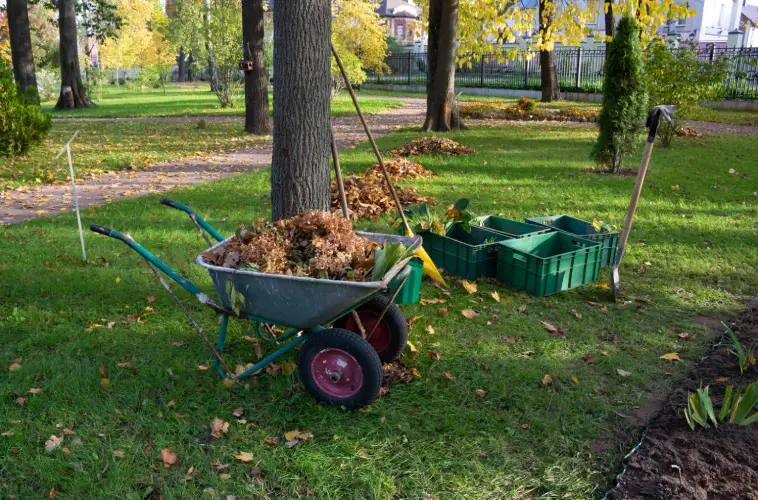 Yard Cleanup in Temecula, CA